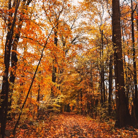 Destination Cleveland: What’s New in Cleveland: Fall 2025